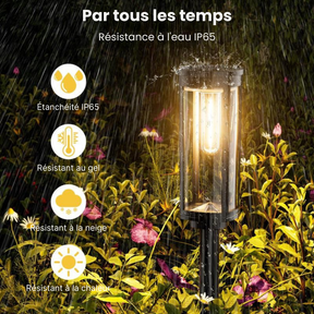 SolarGlow - Eclairage solaire LED (Pack de 2)