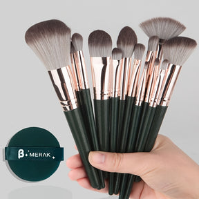 Ensemble de 14 pinceaux